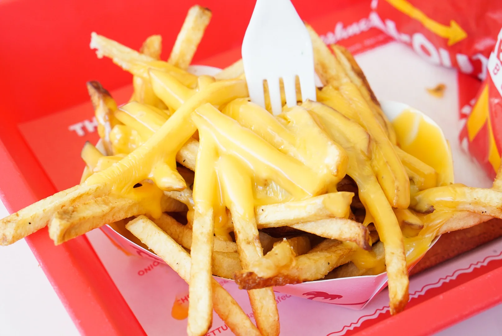 イン アンド アウト